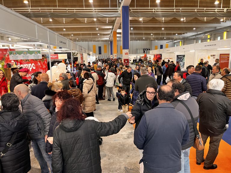 Imagen de referencia de Feria de Ejea en Ejea de los Caballeros